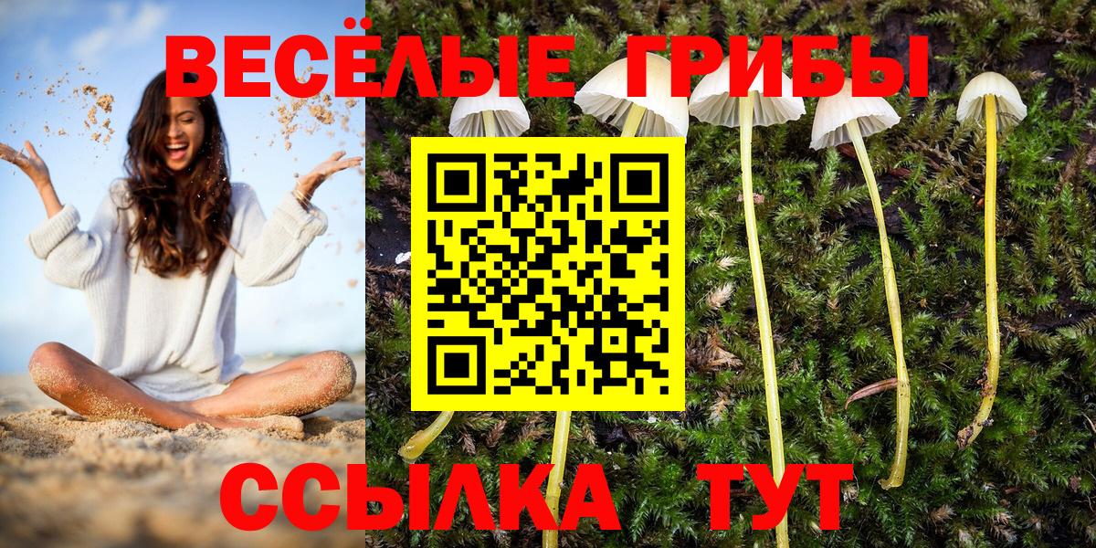 Каннабис Калач-на-Дону